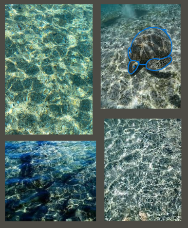 Answer to Camoflague Game. Reptile is traced over with blue for ease of visibility